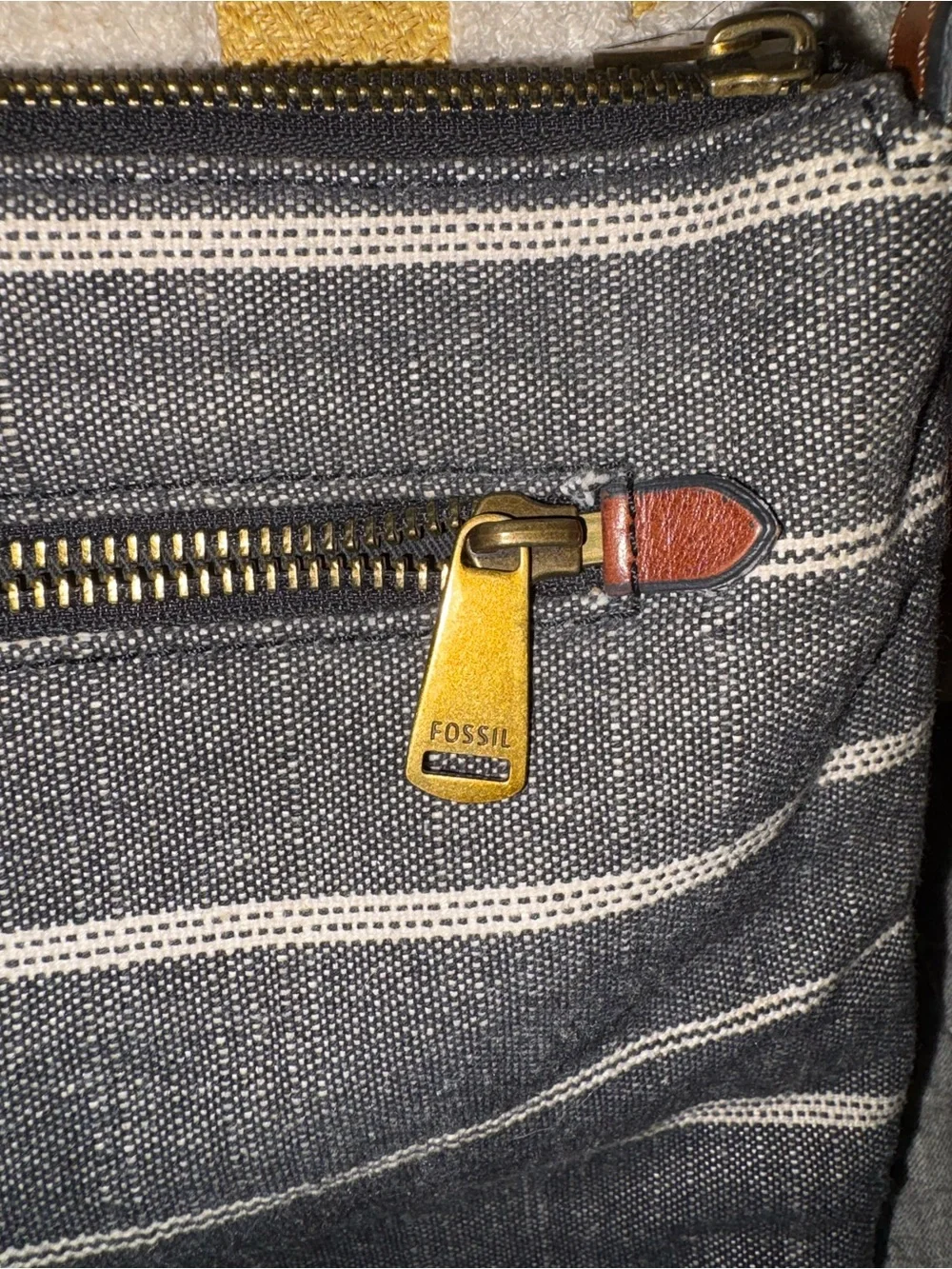 Fossil super cute